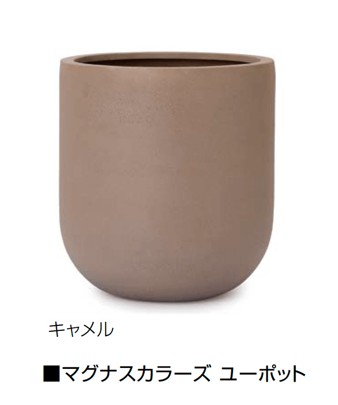 オンリーワンクラブの「マグナス」のサブ画像46