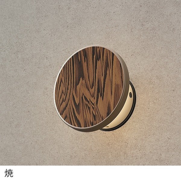 タカショーの「エバーアートウォールライト3型」のサブ画像1