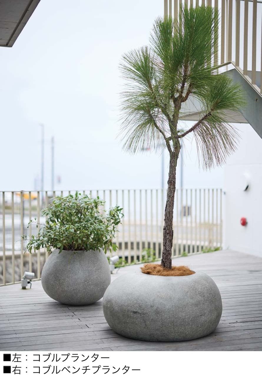 オンリーワンクラブの「コブル」