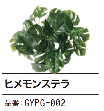 ゆとりの「ぴたっとグリーン【2023年版】」のサブ画像3