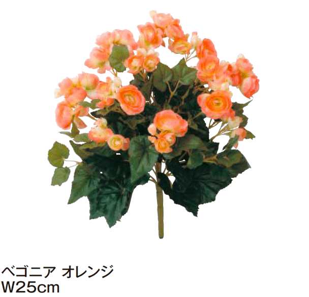 タカショーの「グランドカバー 下草【2024年版】」のサブ画像4