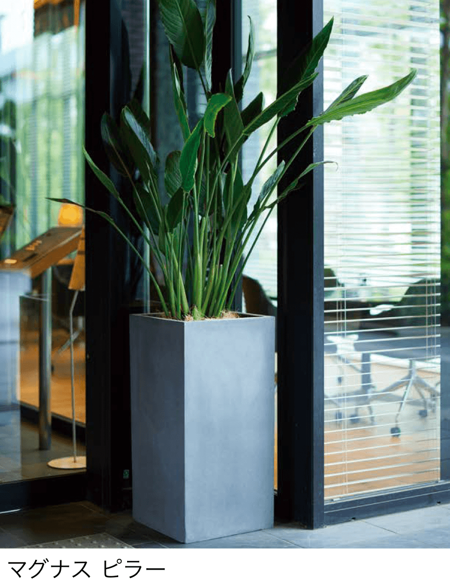 オンリーワンクラブの「マグナス」のサブ画像11