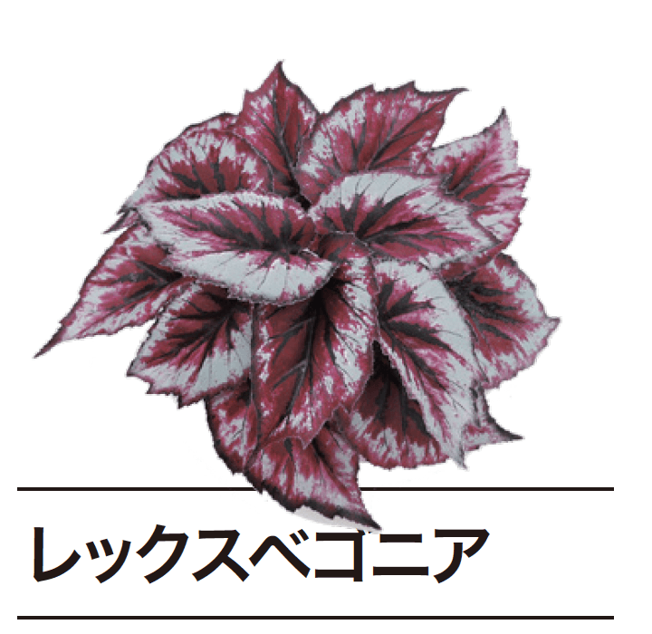 ゆとりの「ぴたっとグリーン【2024年版】」のサブ画像9