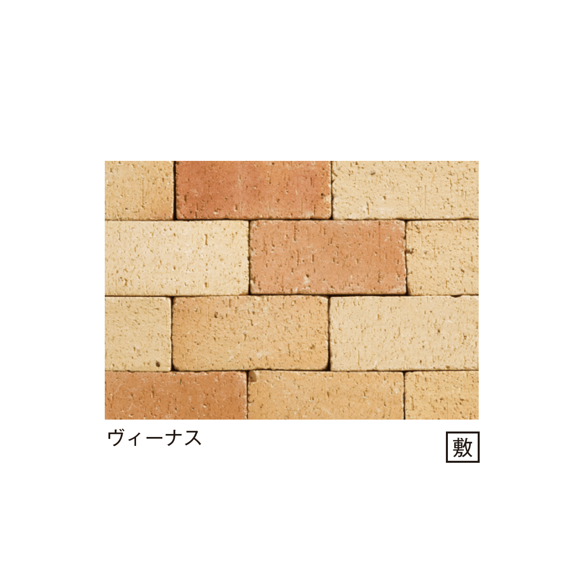 メイクランドの「ステラ」のサブ画像8