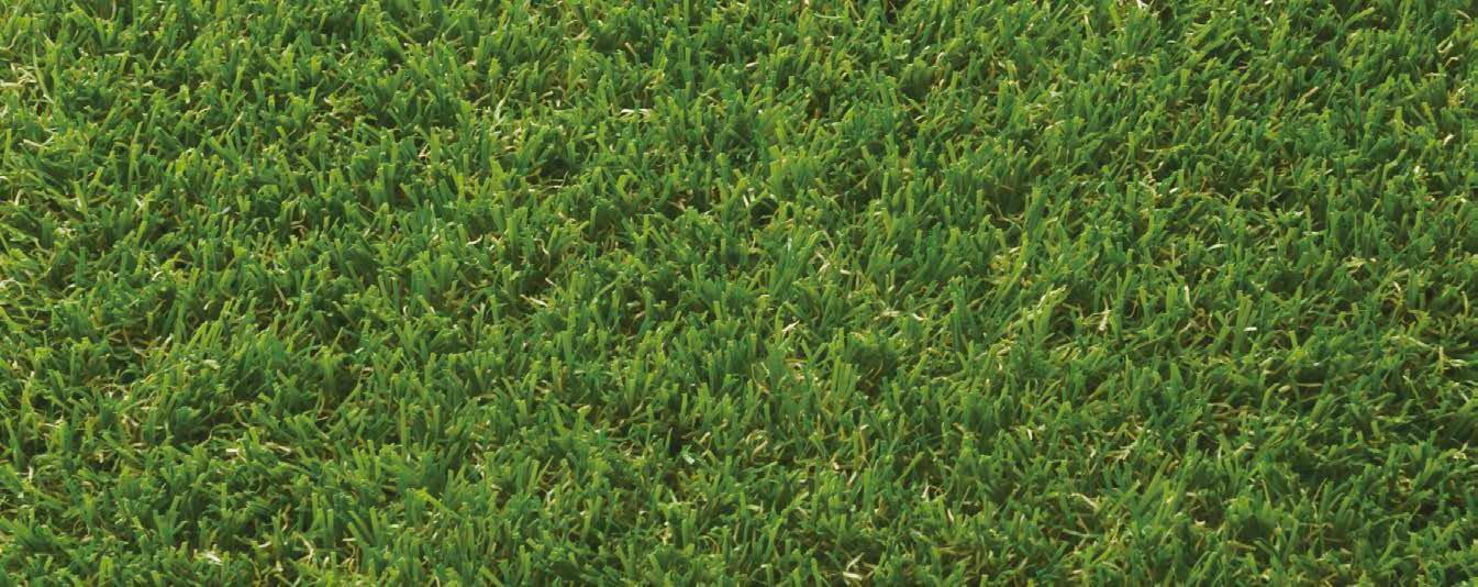 オンリーワンクラブの「ジオターフ2」のサブ画像3