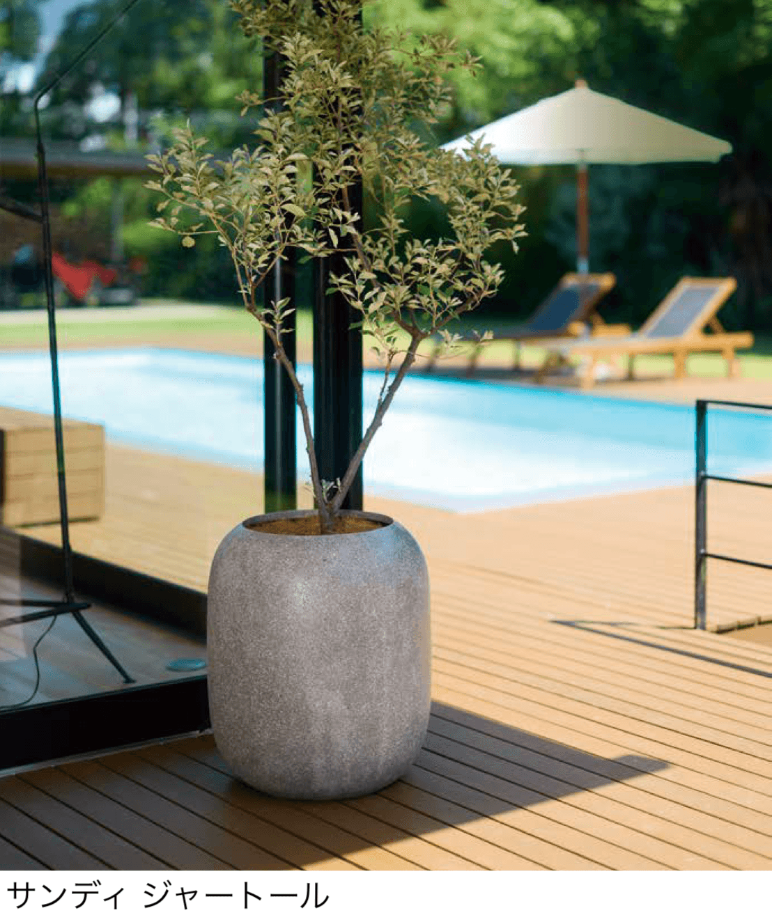 オンリーワンクラブの「サンディ」のサブ画像2