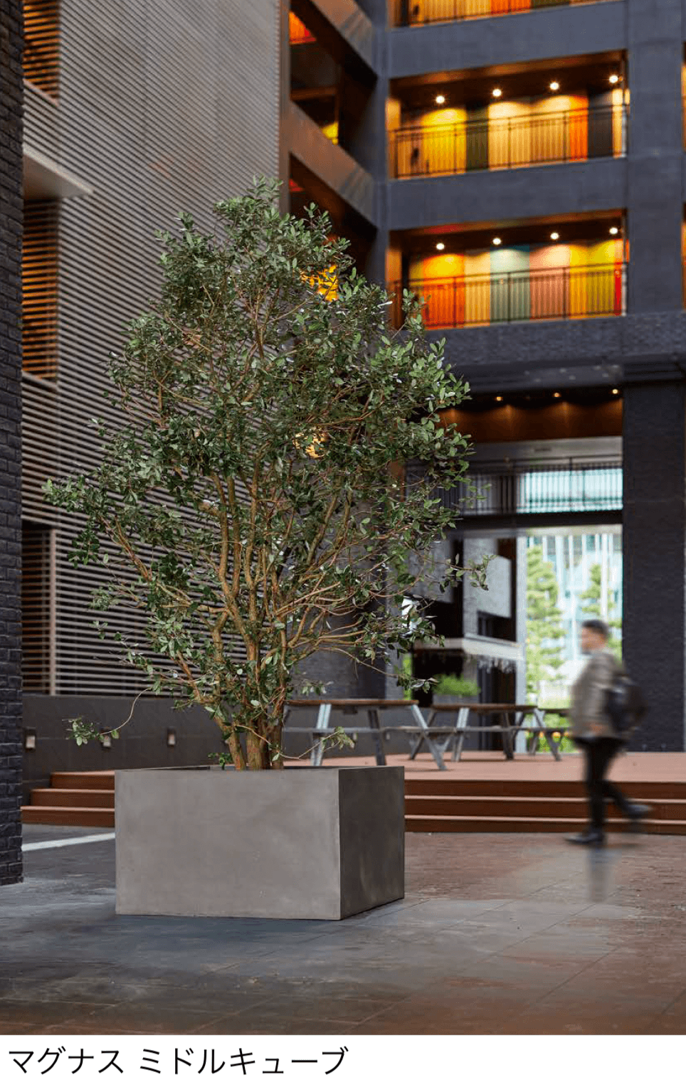 オンリーワンクラブの「マグナス」