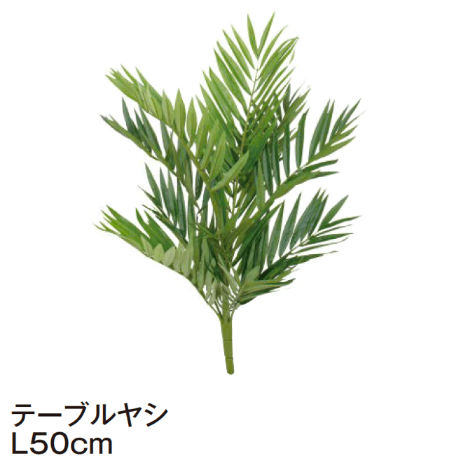 タカショーの「グランドカバー 下草【2024年版】」のサブ画像20