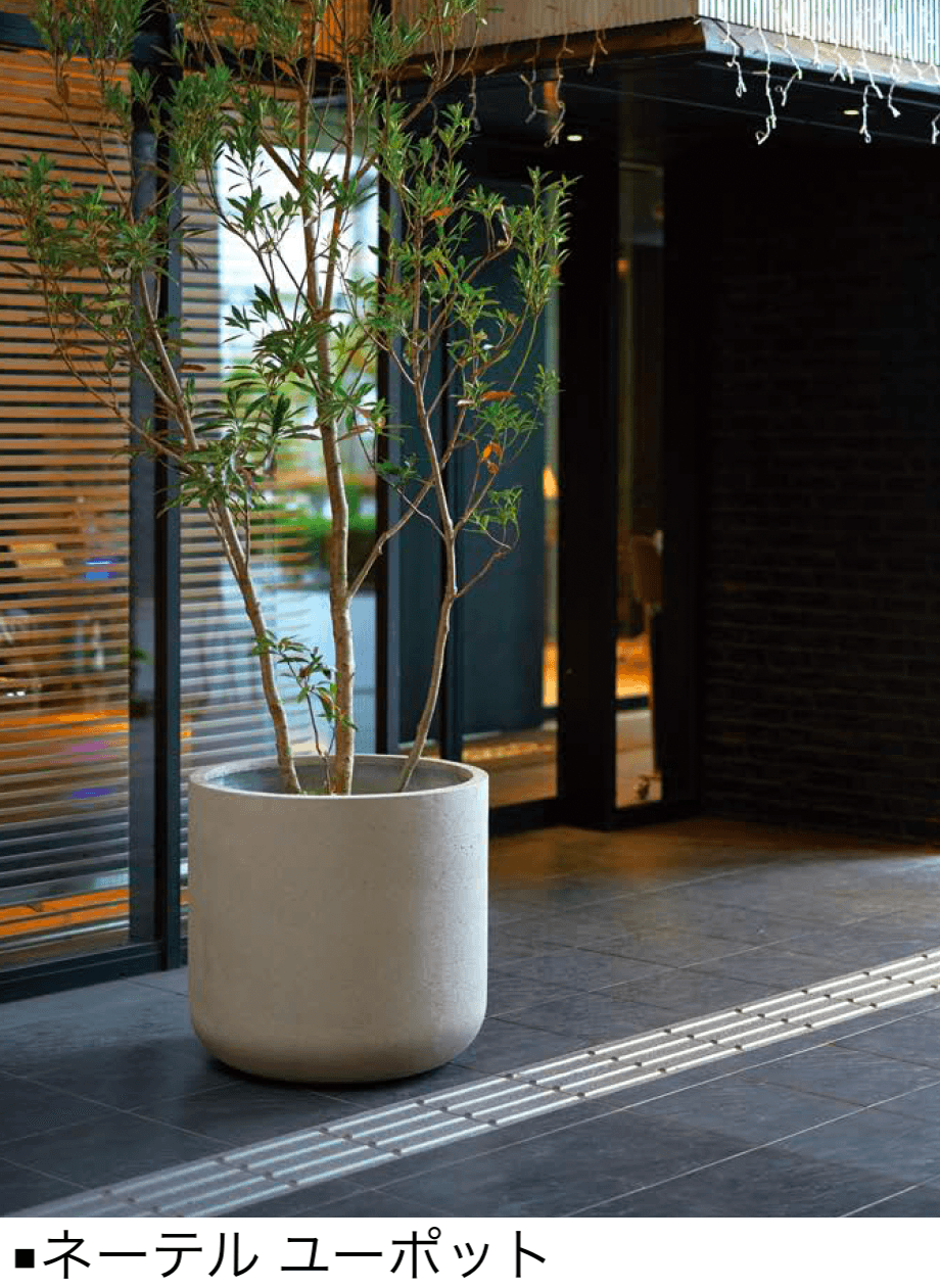 オンリーワンクラブの「ネーデル」