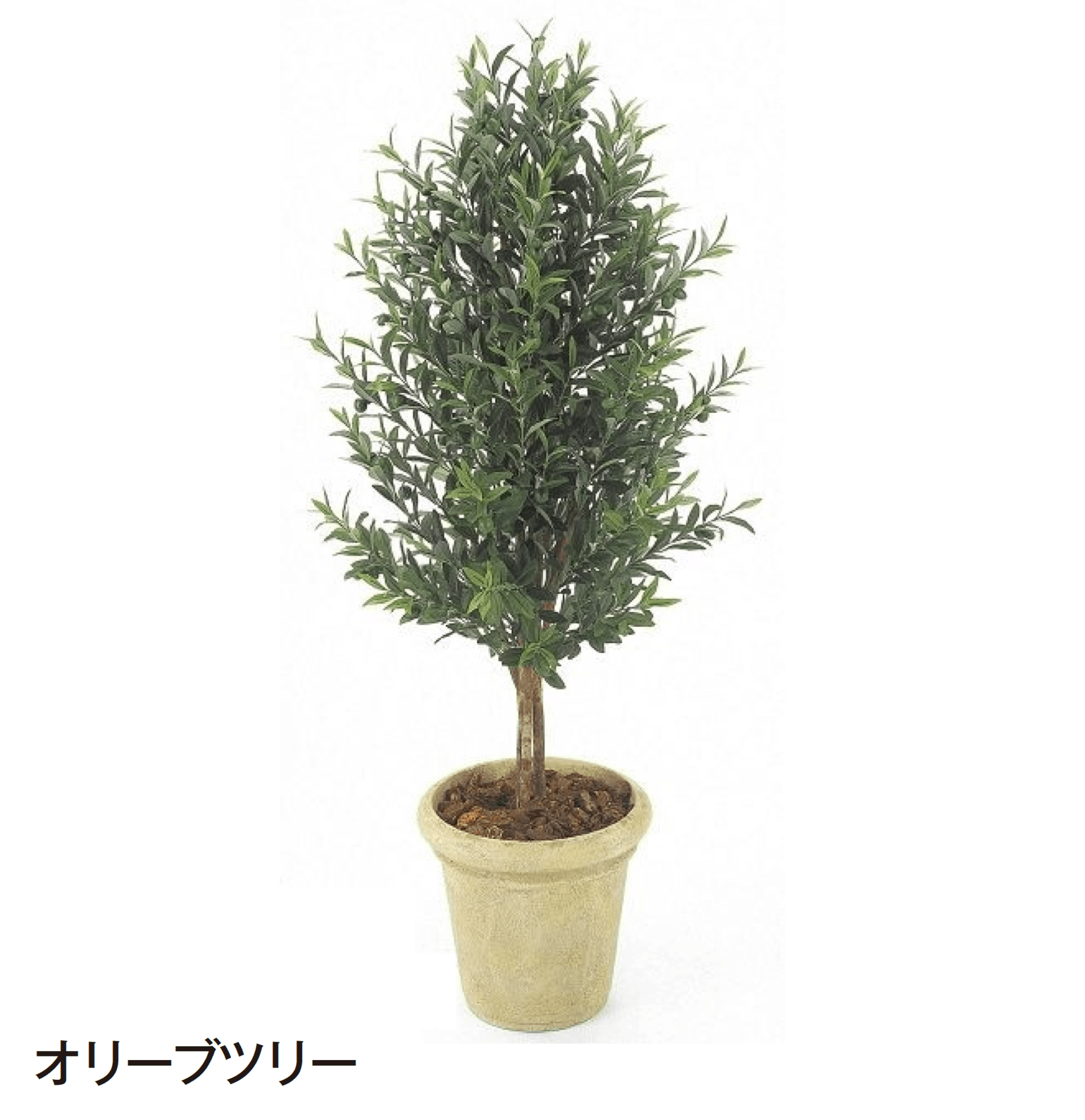 タカショーの「観葉植物」のサブ画像10