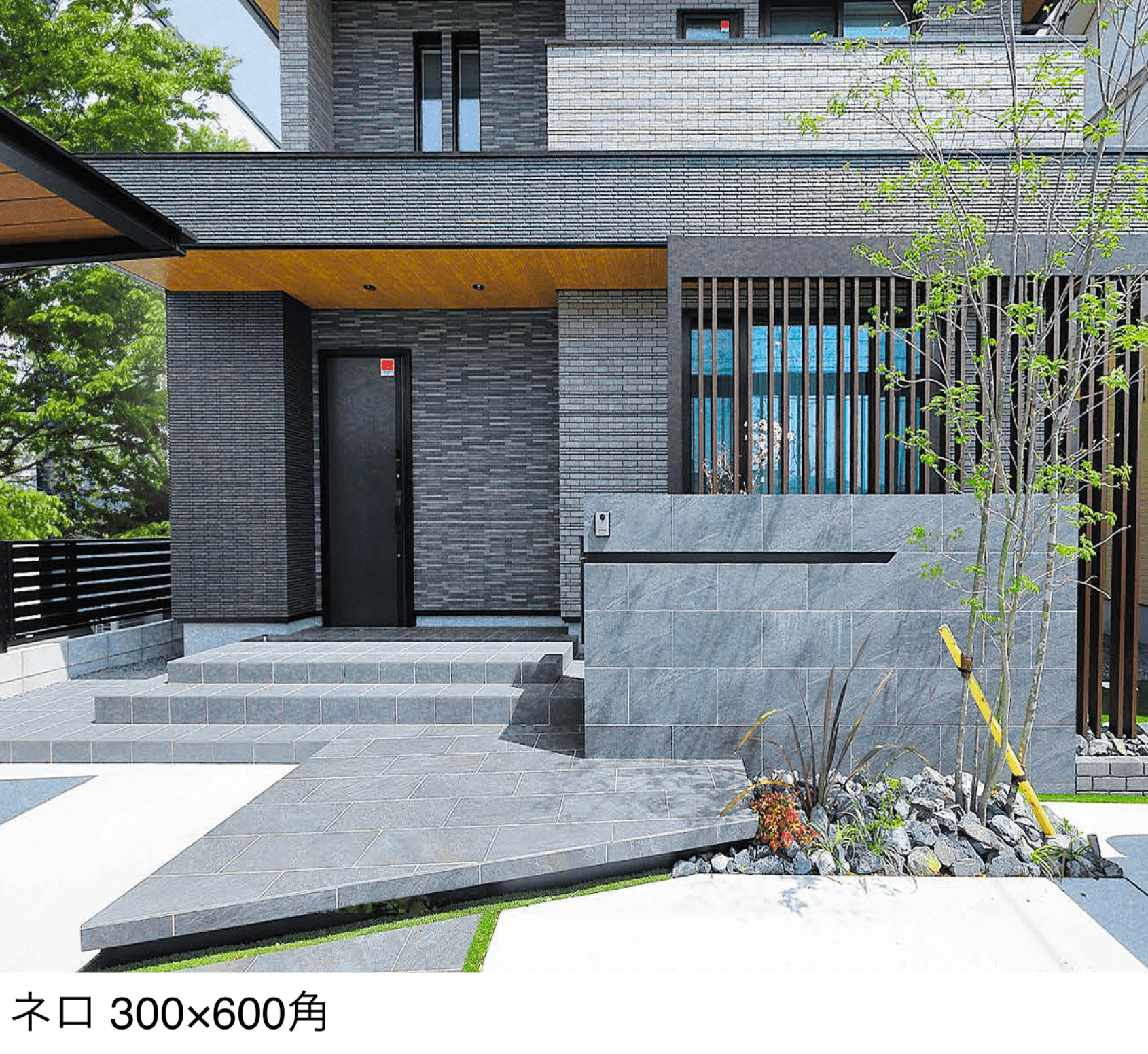 エクシスランドの「ノヴァクォーツ」のサブ画像3