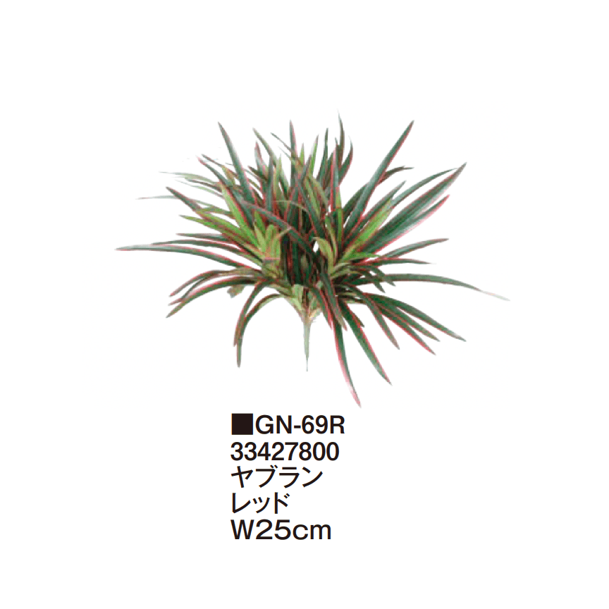 タカショーの「グランドカバー 下草【2025年版】」のサブ画像13