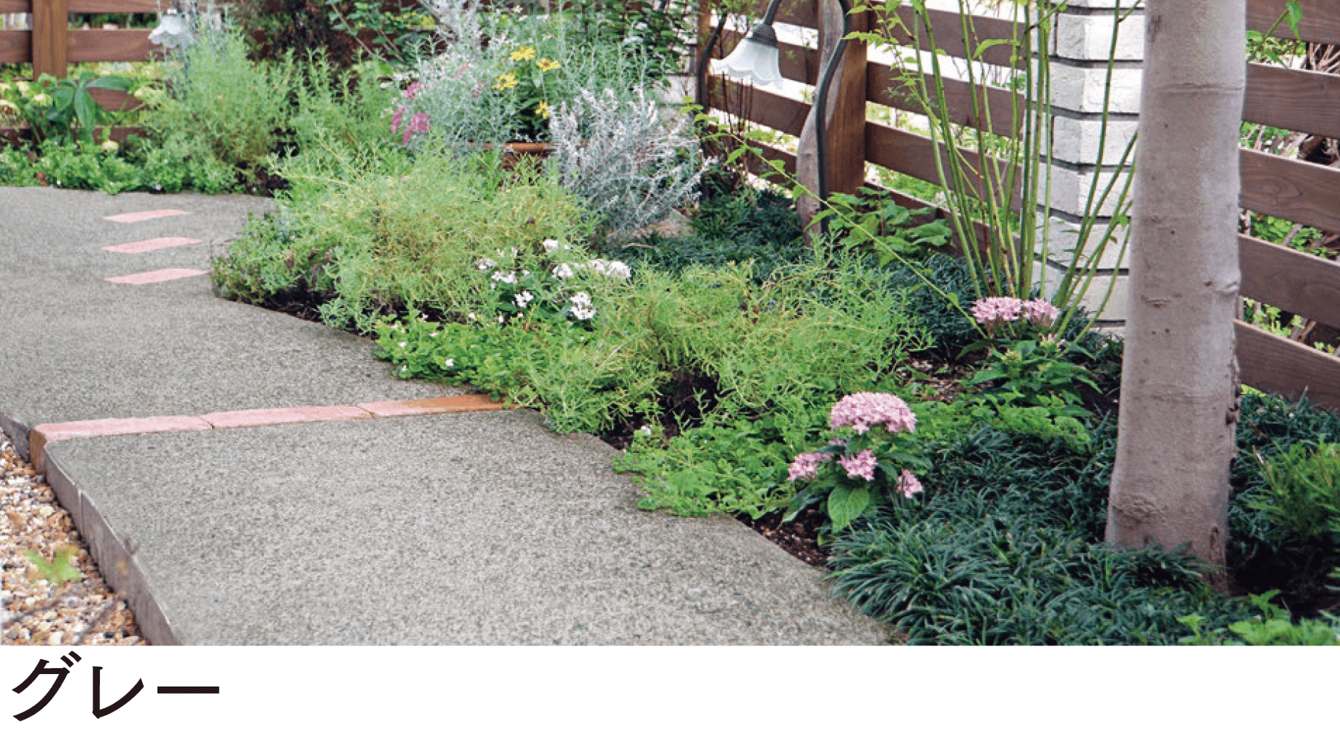 マチダコーポレーションの「ファンシアプラス」のサブ画像1