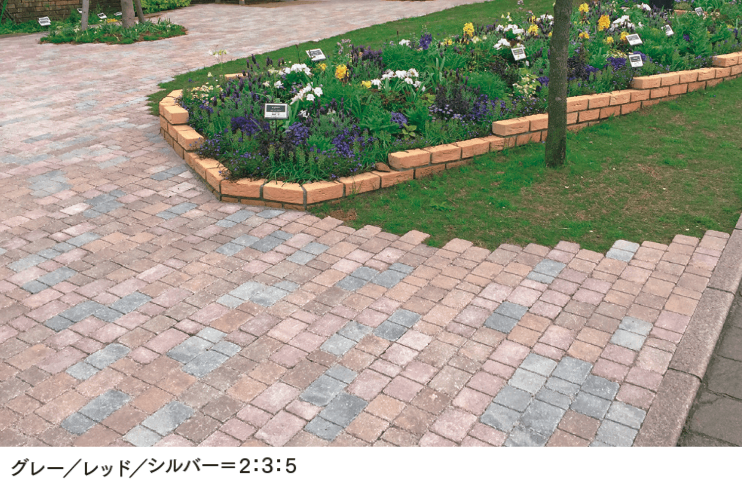 マチダコーポレーションの「シャロール」