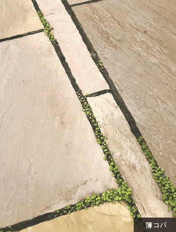 オンリーワンクラブの「ハーヴェストブラウン【2025年版】」のサブ画像11