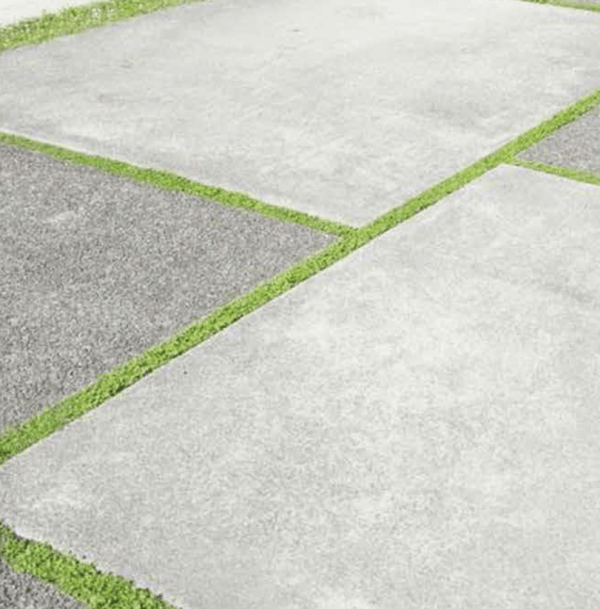 ゆとりの「イラスティ 【2022年版】」のサブ画像1