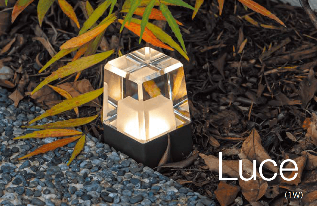 オンリーワンクラブの「プリモ ルーチェ」のサブ画像2