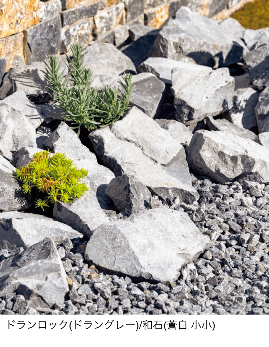 東洋工業の「ドランロック」