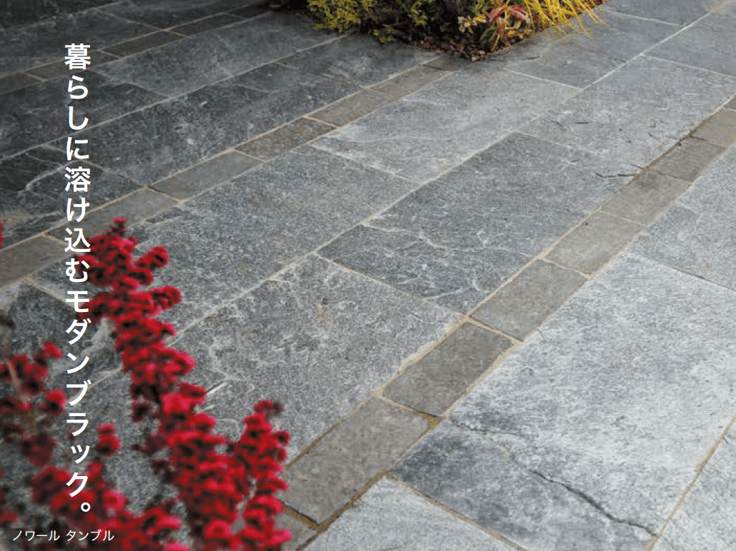 オンリーワンクラブの「ノワール【2023年版】」