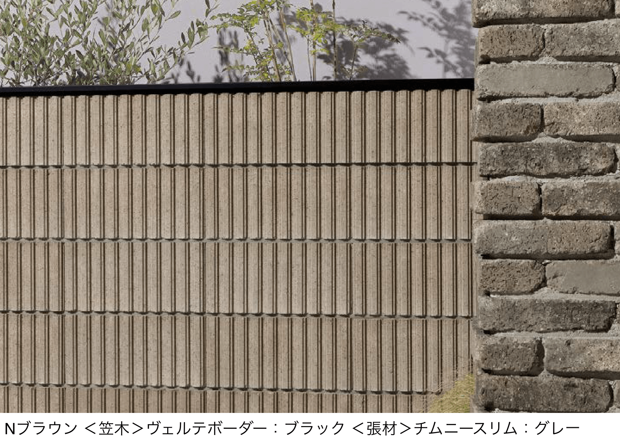 ユニソンの「アルバⅡ【エリア限定販売】」