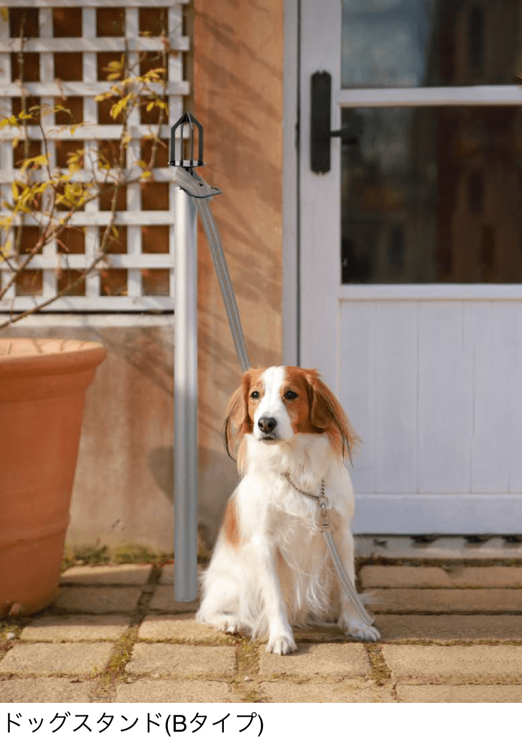 オンリーワンクラブの「ドッグスタンド」