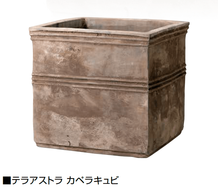 オンリーワンクラブの「テラアストラ」のサブ画像4