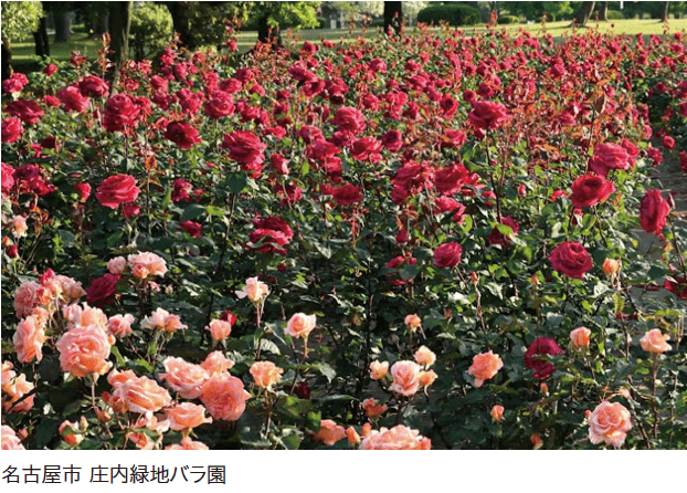 ゆとりの「ガーデンプレミアムコンポ【2024年版】」のサブ画像1