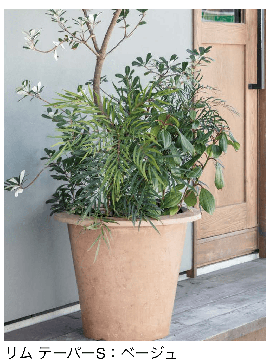 アイランドの「NUプランター リム テーバー」