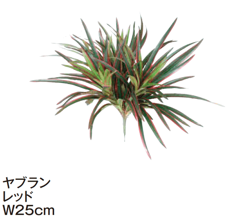 タカショーの「グランドカバー 下草【2024年版】」のサブ画像13