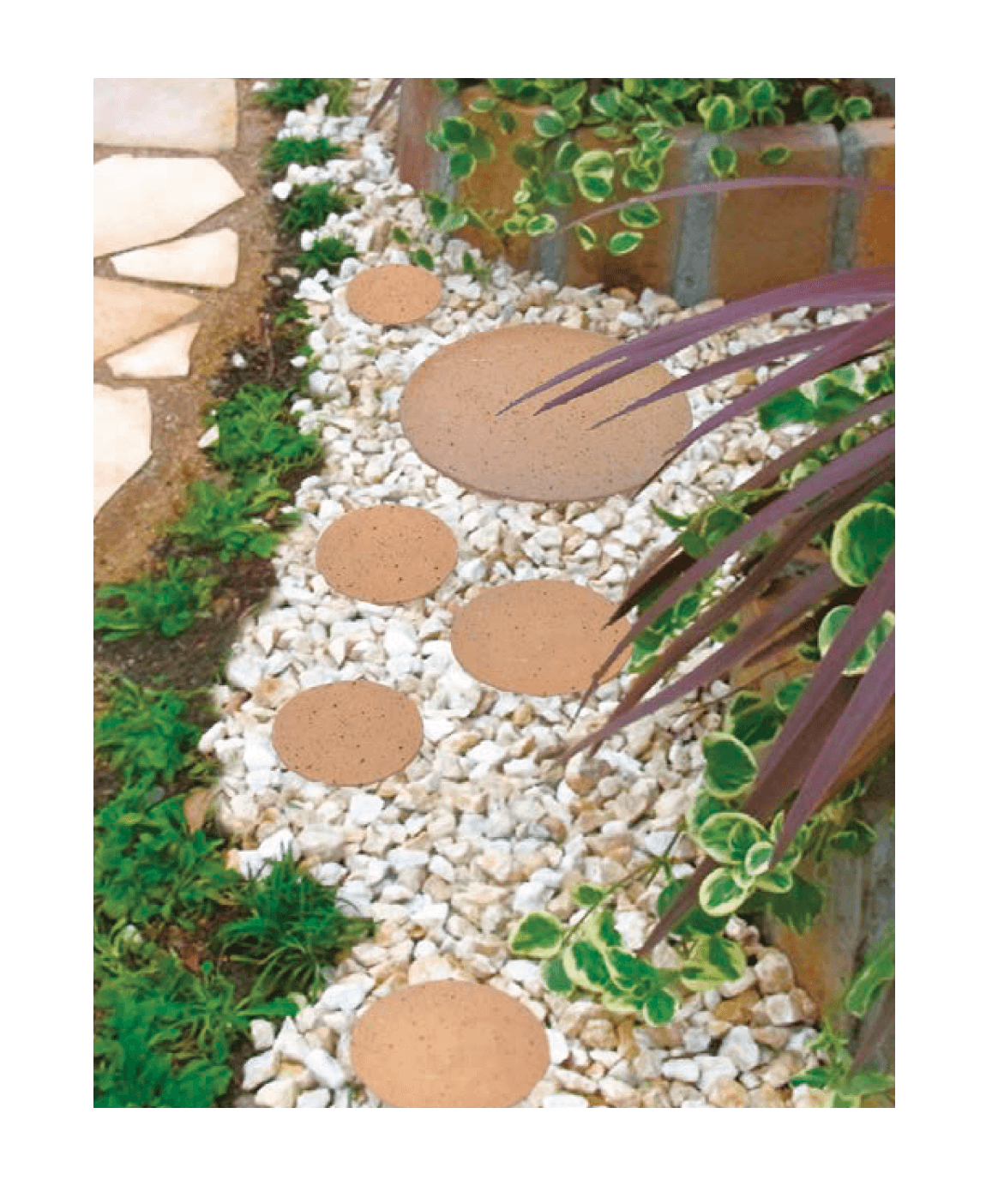 オンリーワンクラブの「セレ・マーズ」のサブ画像1