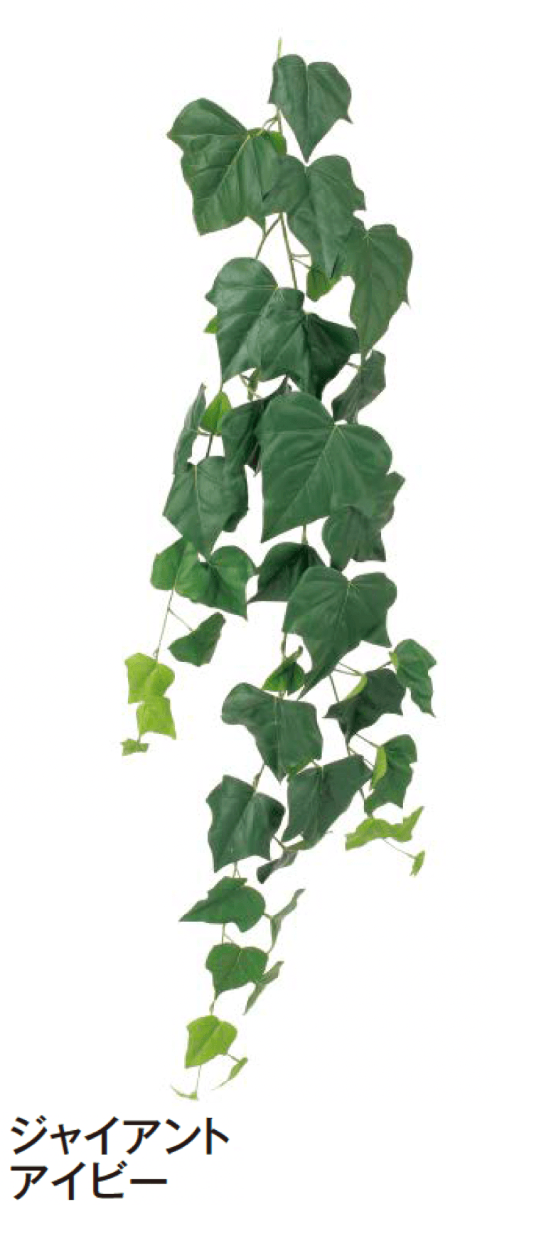 タカショーの「ハンギング」のサブ画像14