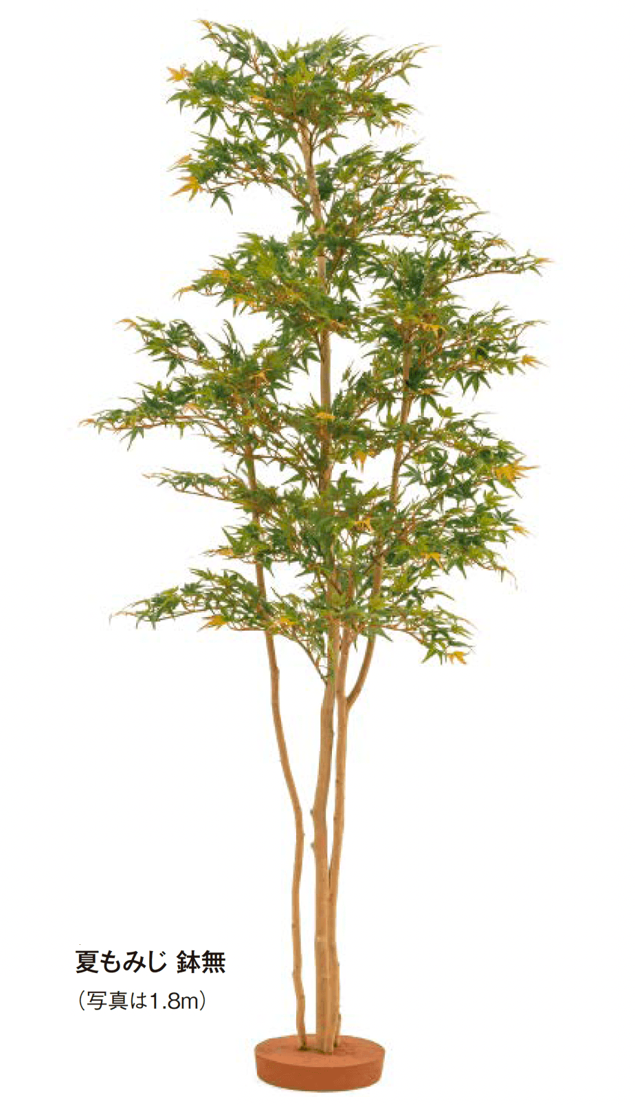 タカショーの「和風もみじ」のサブ画像3