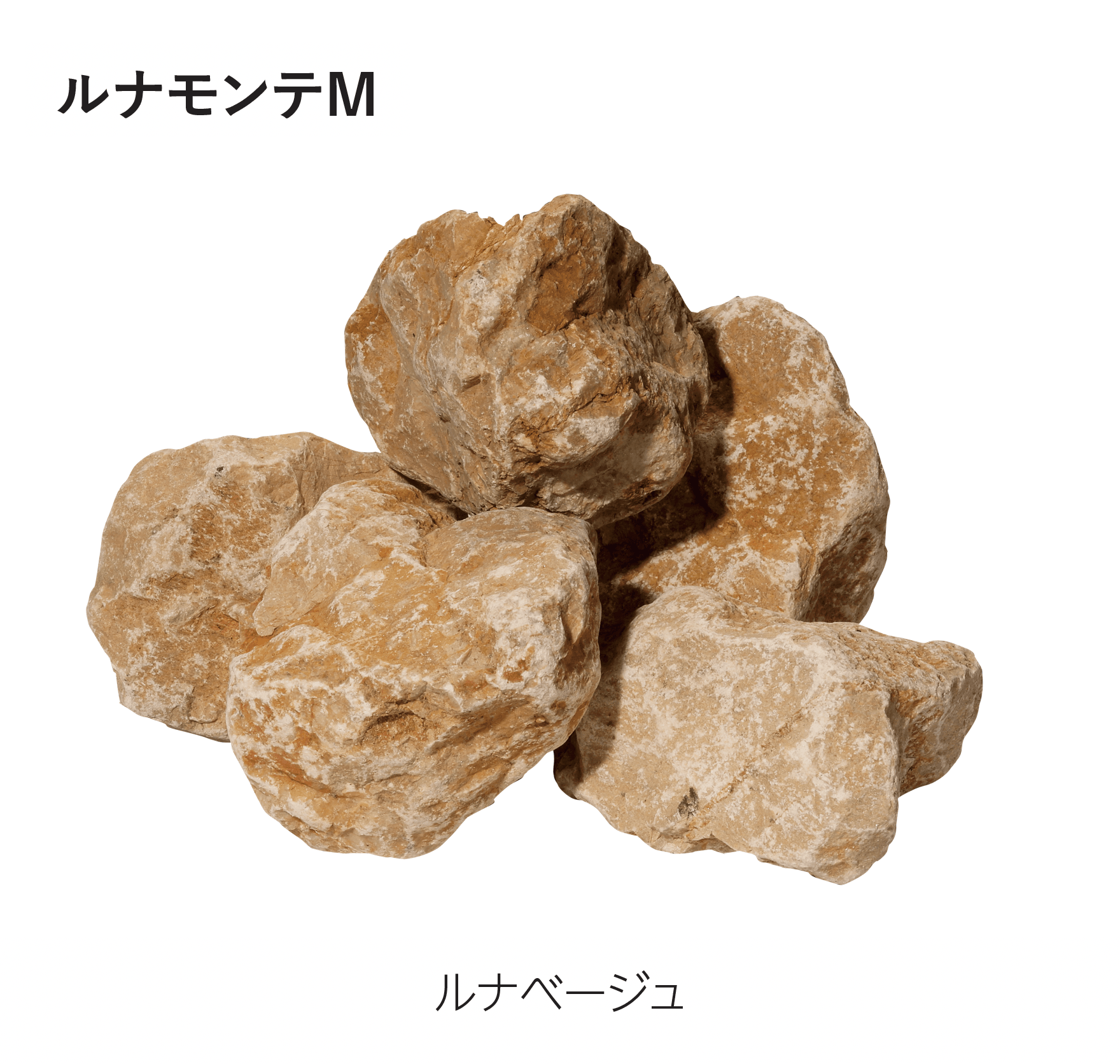 エスビックの「ルナモンテM/ルナモンテS」のサブ画像2