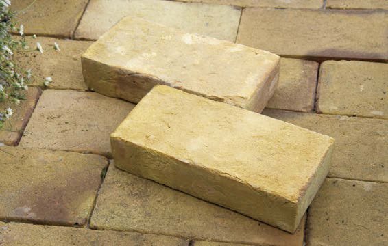 オンリーワンクラブの「ミモザ」のサブ画像2