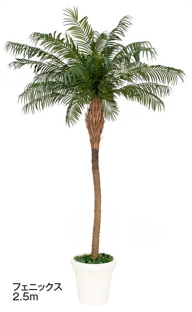 タカショーの「大型人工樹【2024年版】」のサブ画像4