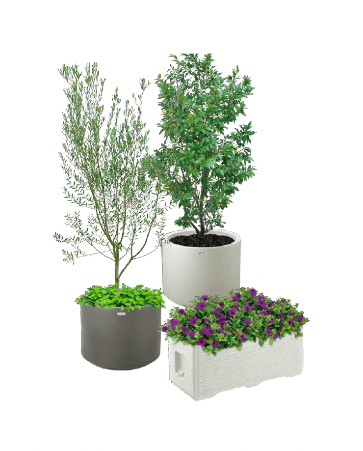 エクシスランドの「タウンプランターWS」