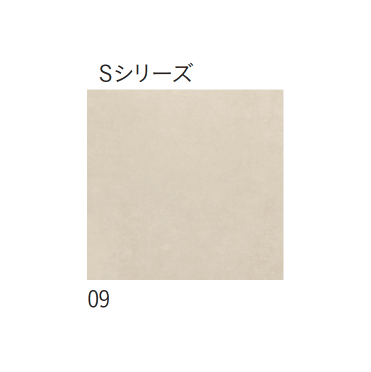 アイコットリョーワの「マディソン」のサブ画像11