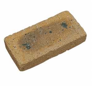 ユニソンの「ソイルレンガペティート®︎」