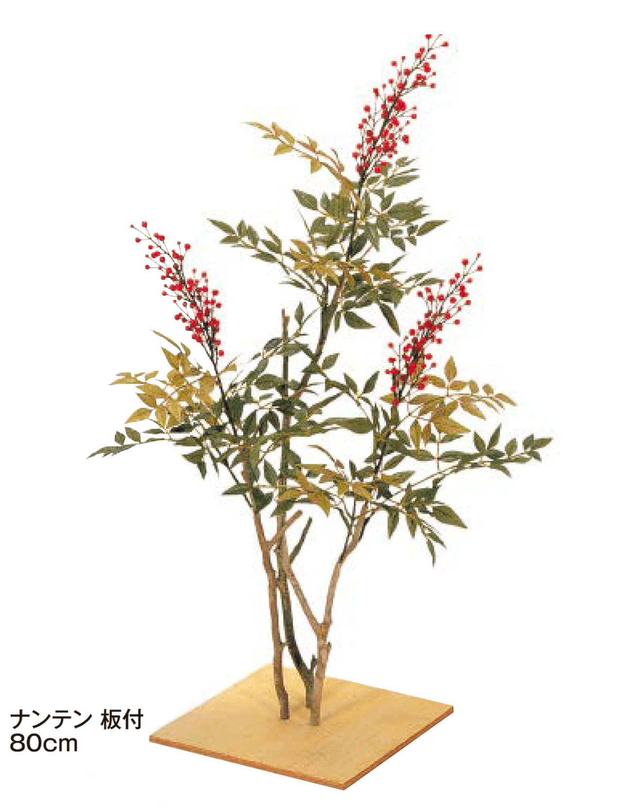 タカショーの「板付【2024年版】」のサブ画像2