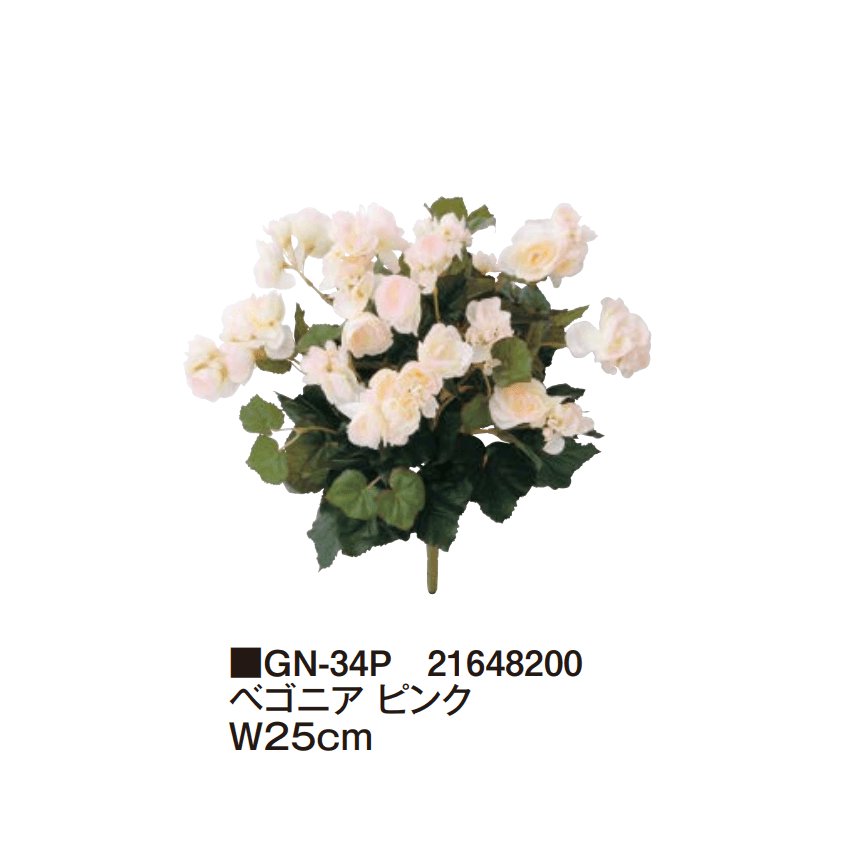 タカショーの「グランドカバー 下草【2025年版】」のサブ画像3