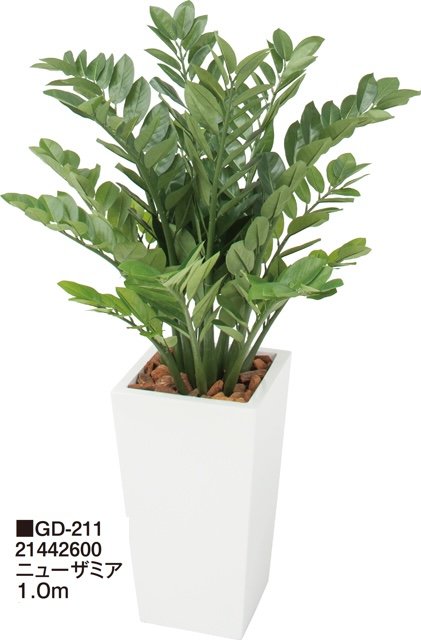 タカショーの「観葉植物【2024年版】」のサブ画像12