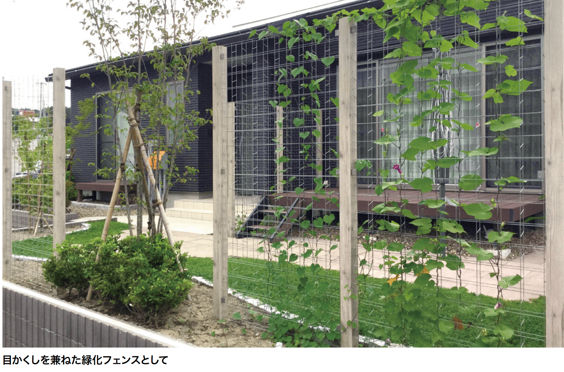 ゆとりの「トレメッシュフェンス 【2022年版】」