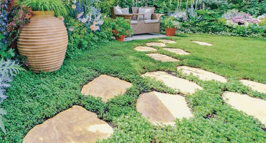 オンリーワンクラブの「マノアール・ステッピングストーン【2024年版】」のサブ画像1