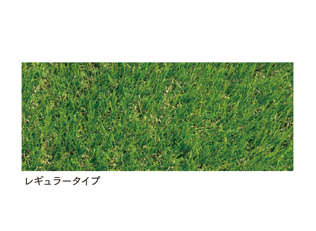 マチダコーポレーションの「クローバーターフ」のサブ画像1