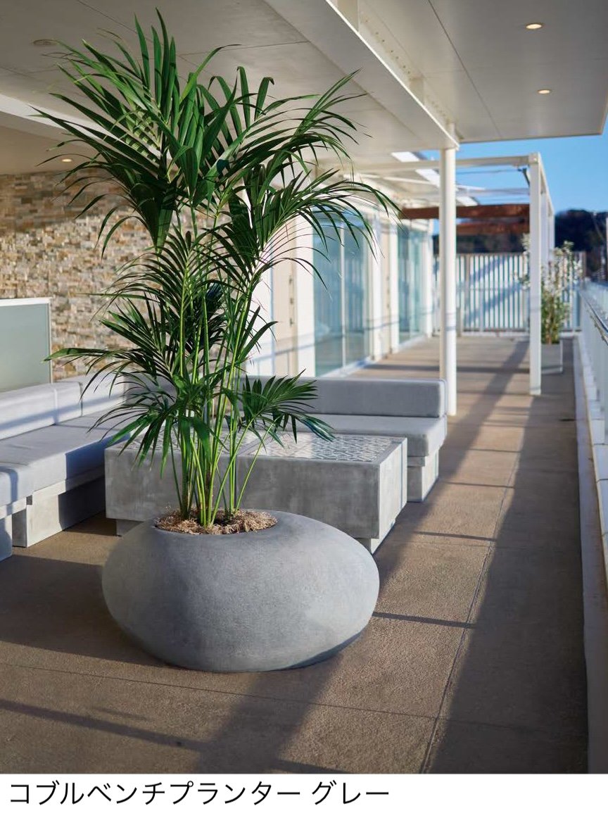 オンリーワンクラブの「コブル」