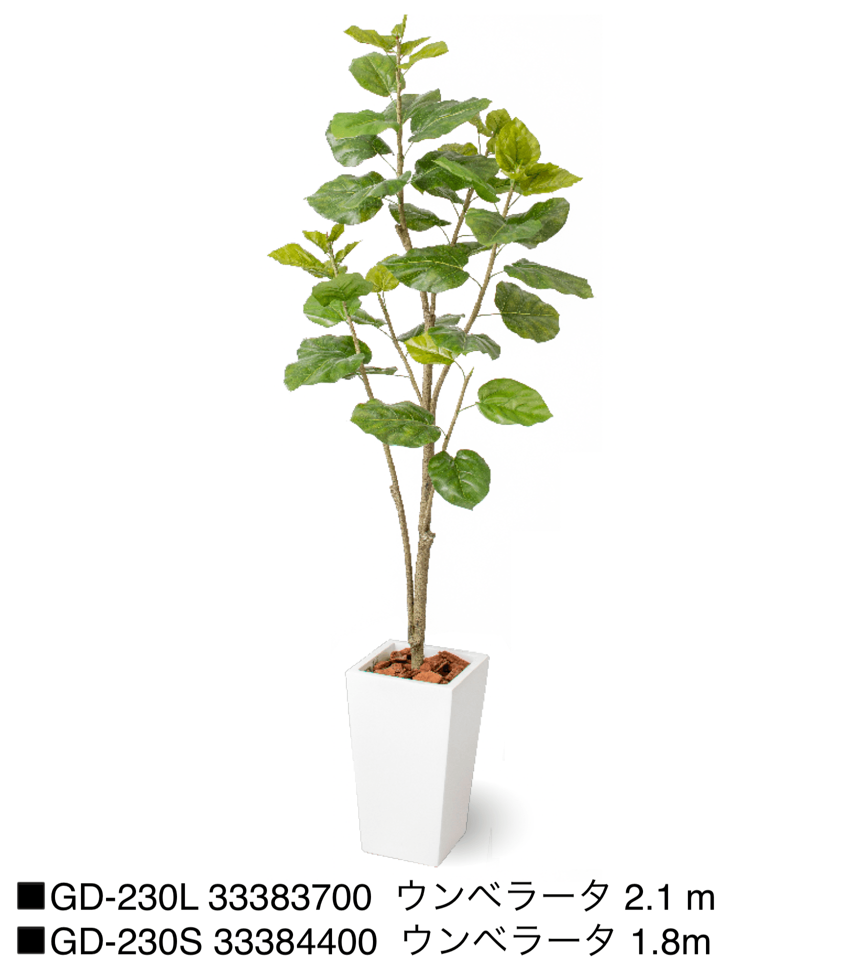 タカショーの「観葉植物【2025年版】」のサブ画像6