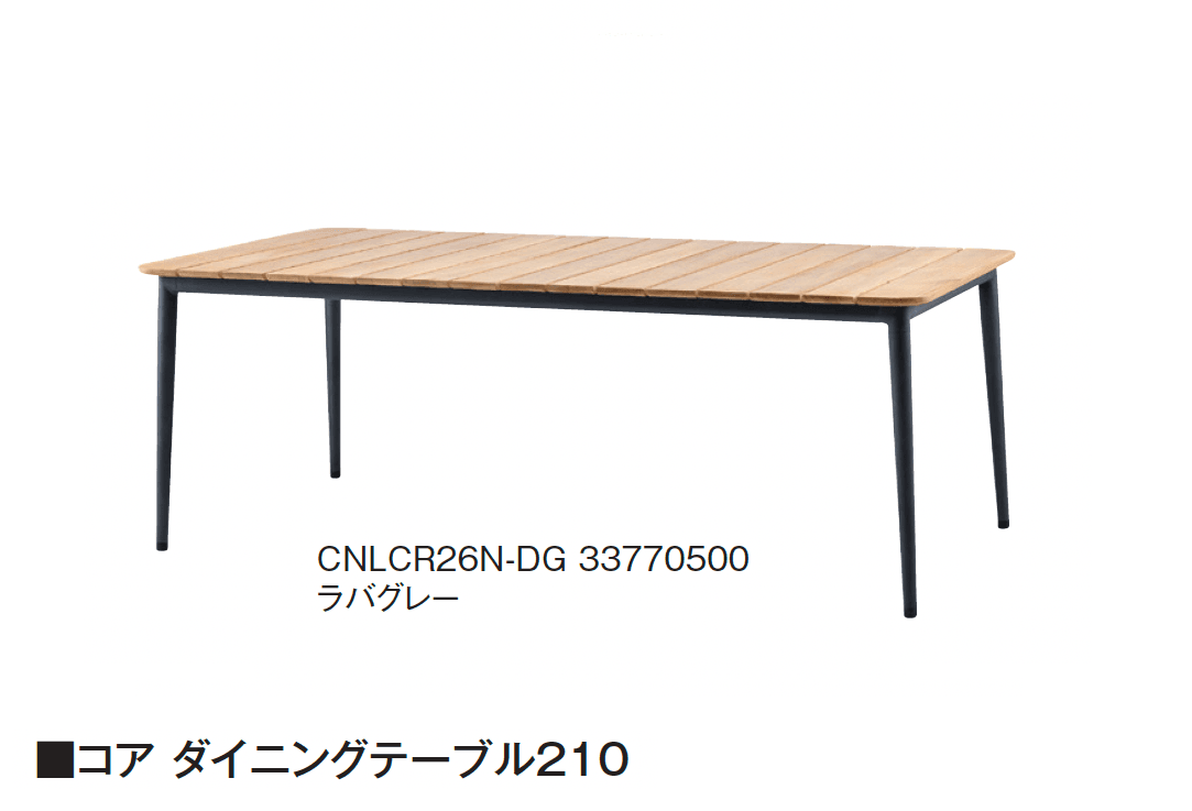 タカショーの「CORE」のサブ画像3