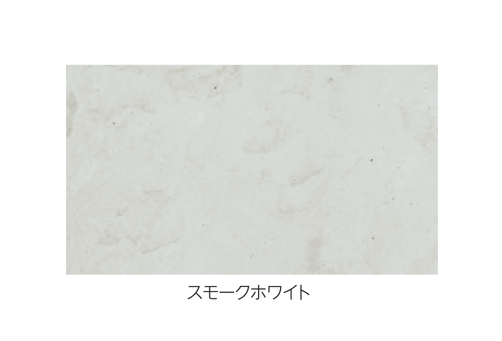 エスビックの「アクシア・ラスキン」のサブ画像2