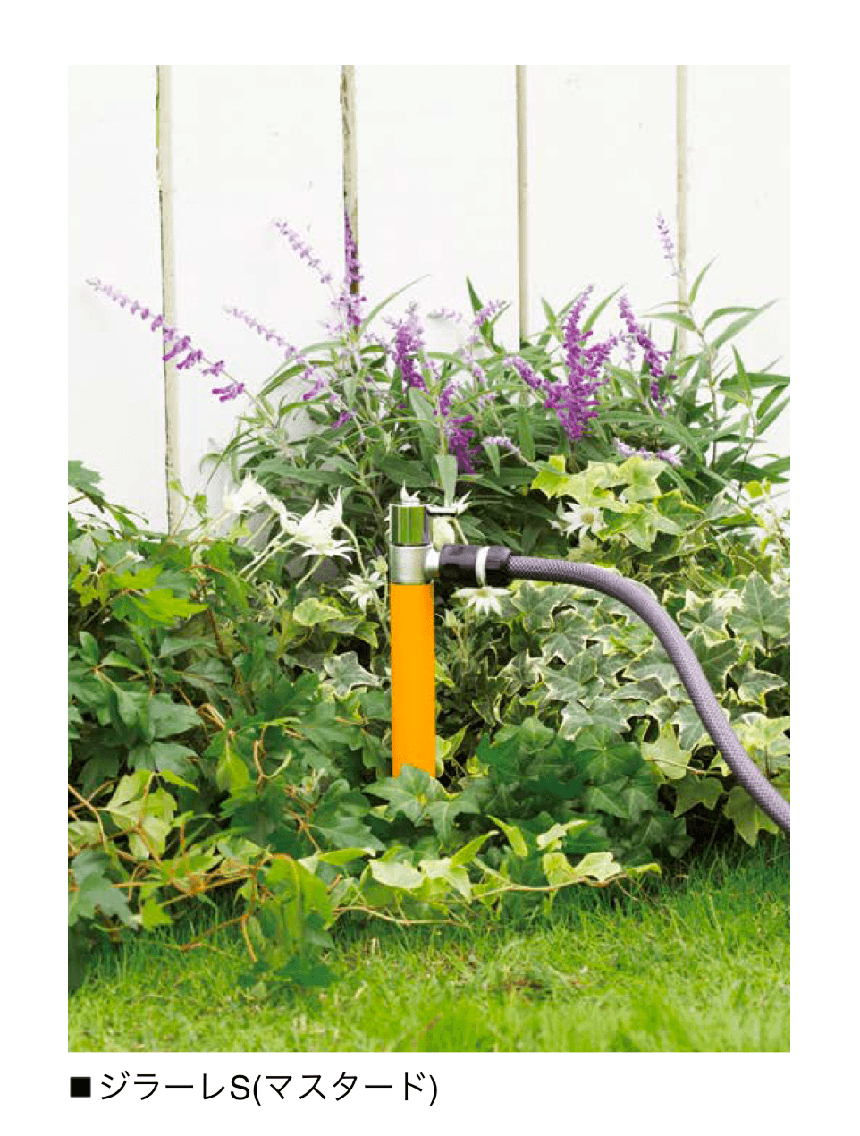 オンリーワンクラブの「ジラーレ/ジラーレW/ジラーレS」のサブ画像11