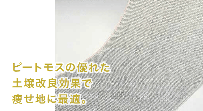 ゆとりの「ロンケットエース 【2022年版】」